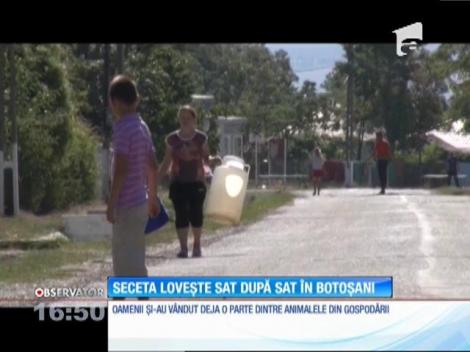 Seceta din judeţul Botoşani lasă sat după sat fără picătură de apă