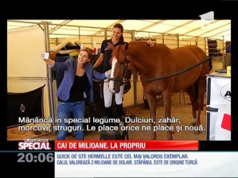 Special! Echitaţia ca orice sport nobil necesită investiţii considerabile