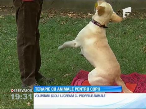 Terapie cu animale pentru copii