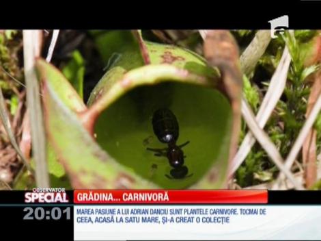 Special! Planeta nu duce lipsă de prădători feroce