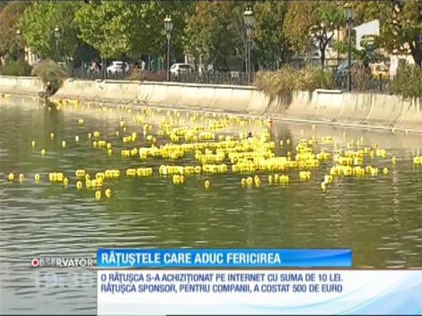 Peste o mie cinci sute de răţuşte din plastic au plutit pe Dâmboviţa