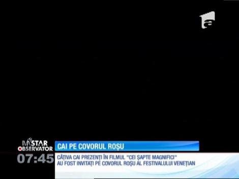 Cai pe covorul roşu de la Festivalul de film de la Veneţia