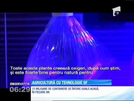 Copiii noștri ce vor mânca? Legume crescute pe ocean, în containerele marilor vapoare, fără lumina soarelui