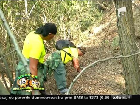 Cele mai bune sfaturi în cazul în care te-ai rătăcit într-o drumeţie prin pădure