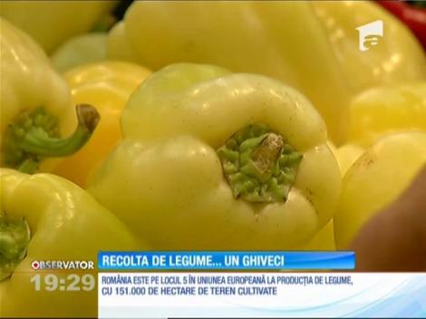 România are cea mai bună recoltă din ultimii ani la legume