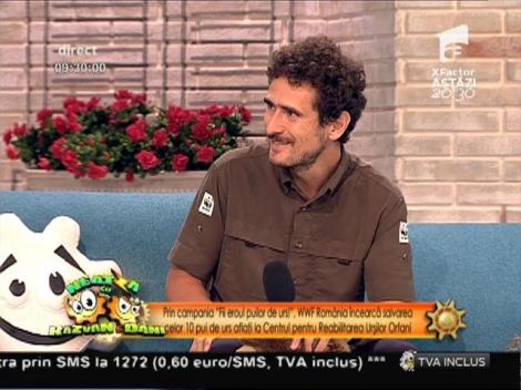 WWF România a lansat campania "Fii eroul puilor de urs!"