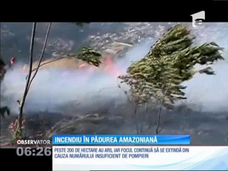 Incendiu de vegetaţie în jungla amazoniană din Peru
