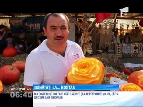 Festivalul Dovleacului se organizează în comuna Poșta Călnău din Buzău