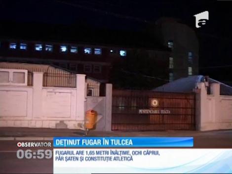 Un deținut de la penitenciarul din Tulcea a evadat în timp ce muncea în folosul comunității