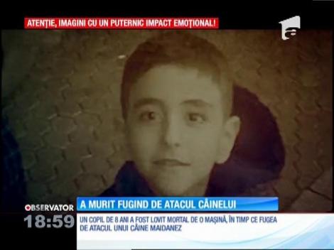 Un băiat de numai 8 ani a murit absurd, încercând să se salveze de atacul unui maidanez!