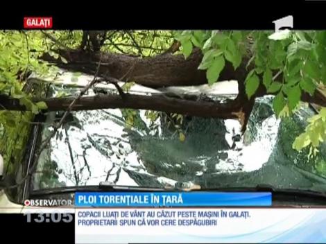 Ploile torenţiale au creat probleme în mai multe judeţe din ţară