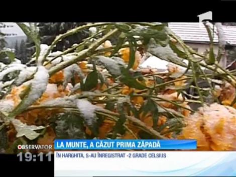 Cea mai friguroasă zi de septembrie din ultimii 50 de ani. Ce temperaturi s-au înregistrat miercuri în România