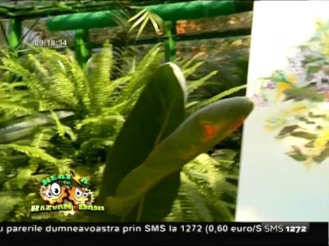 Expoziţie de pictură modernă: Anca Irina Lefter