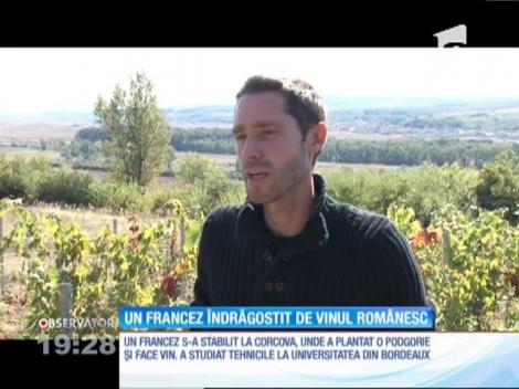 Un francez a lăsat patria vinurilor pentru meleagurile însorite din Mehedinţi. A plantat vie şi-acum, culege roadele. Struguri dulci din care iese cel mai bun vin