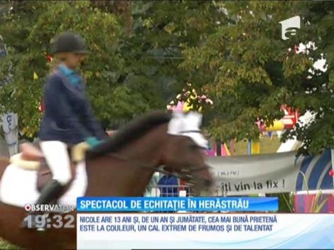 Caii au făcut spectacol în Parcul Herăstrău. Au sărit peste obstacole şi-au dat demonstraţii de dresaj