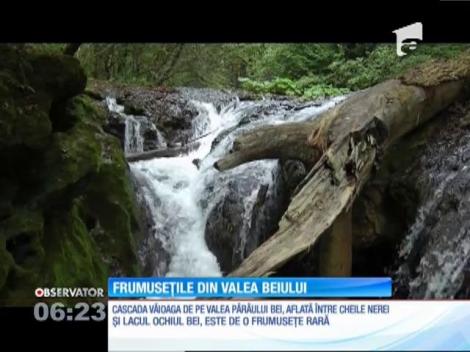 Frumusețile din Valea Beiului