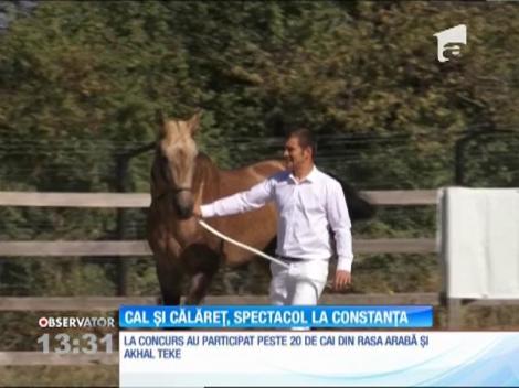Cal și călăreț, spectacol la Cupa Equestria