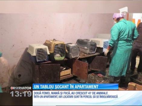 Apartament de groază în Militari. Locuița este un adevărat focar de infecţie!