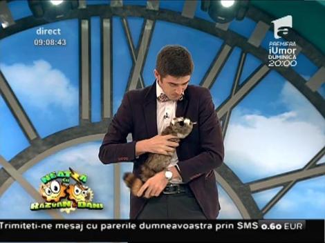 Andrei Andronachi, Pufic și spiridușul infractor, spectacol de magie și comedie