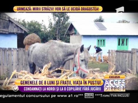 Şase copii, condamnaţi la noroi şi o copilărie fără jucării!