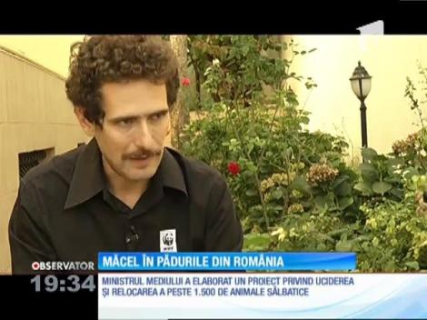 Măcel în pădurile din România! Ministerul mediului vrea să dea liber la vânătoarea a peste 1500 de animale sălbatice