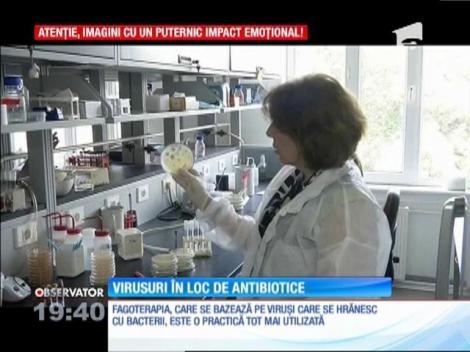 Viruşii, alternativă viabilă la antibiotice