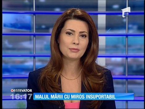 Faleza Nord din Constanţa, poluată cu dejecţii