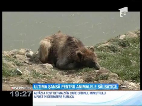 Ultima şansă pentru animalele sălbatice