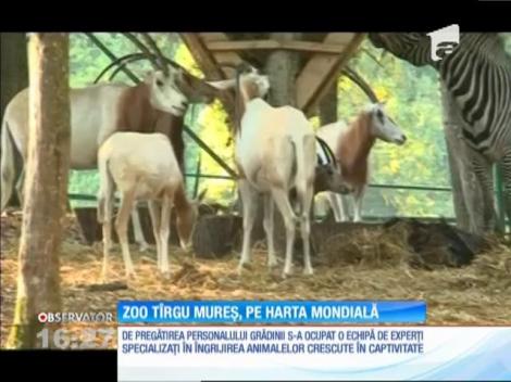 Zoo Târgu Mureș, pe harta mondială a grădinilor zoologice