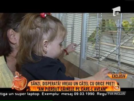 Sânziana Buruiană, disperată! Vrea un căţel cu orice preţ!