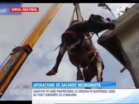 Operaţiune de salvare neobişnuită