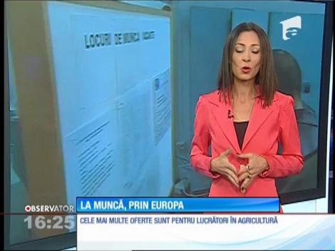 Românii au peste 1300 de locuri de muncă disponibile în străinătate