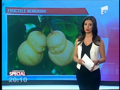 SPECIAL! Fructele nemuririi