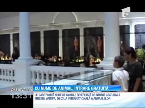 Intrare gratuită la Muzeul Antipa pentru vizitatorii care poartă numele unui animal