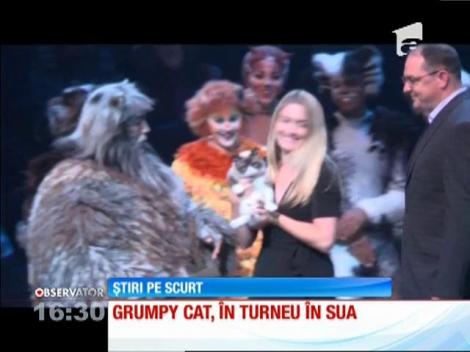 Cea mai faimoasă pisică din lume, Grumpy Cat, are  o replică în ceară