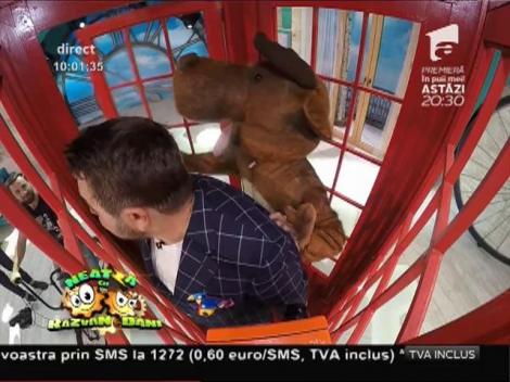 VIDEO! Show Man până în pânzele albe! Cum te poate face să râzi Horia Brenciu, înghesuit într-o cabină telefonică
