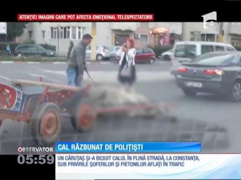 Un căruţaş care îşi lovea calul cu brutalitate a primit o corecţie din partea poliţiştilor