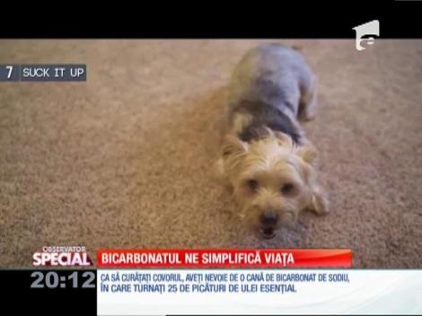 SPECIAL! Cum să-ți cureți casa folosind bicarbonat de sodiu