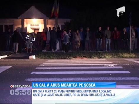 Un cal lăsat liber pe un drum din judeţul Vaslui i-a adus moartea unui şofer