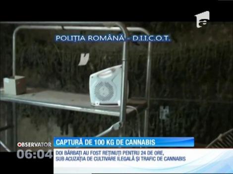 Captură uriaşă de droguri, la Sibiu! Poliţiştii au confiscat aproape 100 de kilograme de cannabis