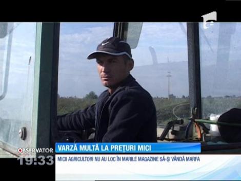 Varză multă la preţuri de nimic