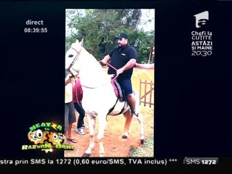 Smiley News: Este atât de gras încât nici măcar un cal nu poate să îl susţină!