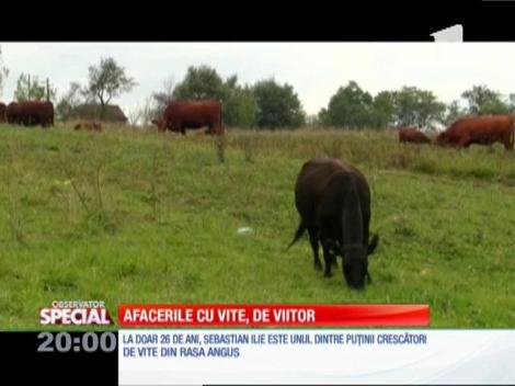 Special! De la calculatoare, la fermă