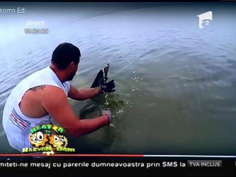 Smiley News: Un pescar din România reuşit să prindă un somn uriaş