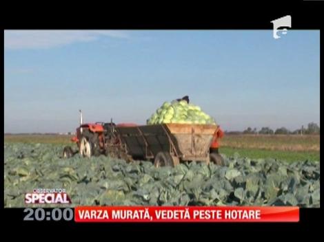 Special! Varza murată, vedetă peste hotare