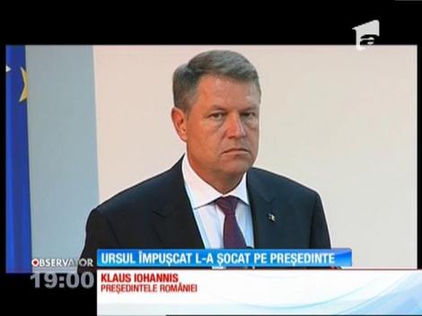 Imaginile cu ursul executat în centrul Sibiului l-au revoltat pe Klaus Iohannis