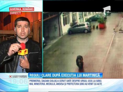 Ursul executat în centrul Sibiului nu a fost niciodată tranchilizat