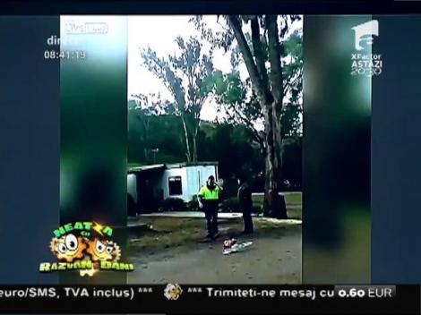 Smiley News: Dorel, specialist în tăiat copaci