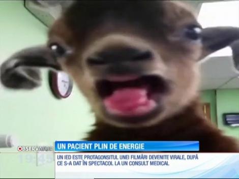 Un pacient plin de energie