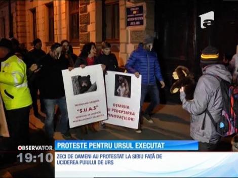 Controversele continua după executarea ursului în Sibiu! Se cer demisii si schimbarea legii